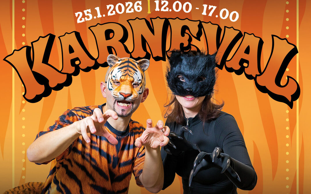 KARNEVAL V OC LUŽINY